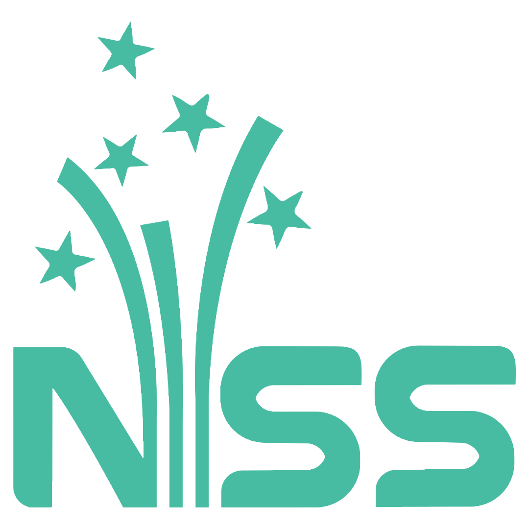 NSS Fireworks Logo